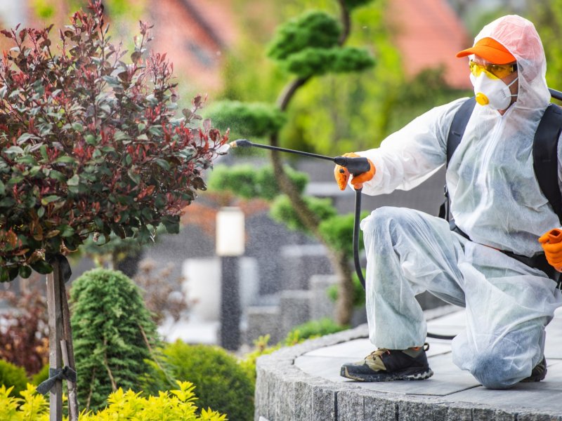 Ulubey Haşere İlaçlama